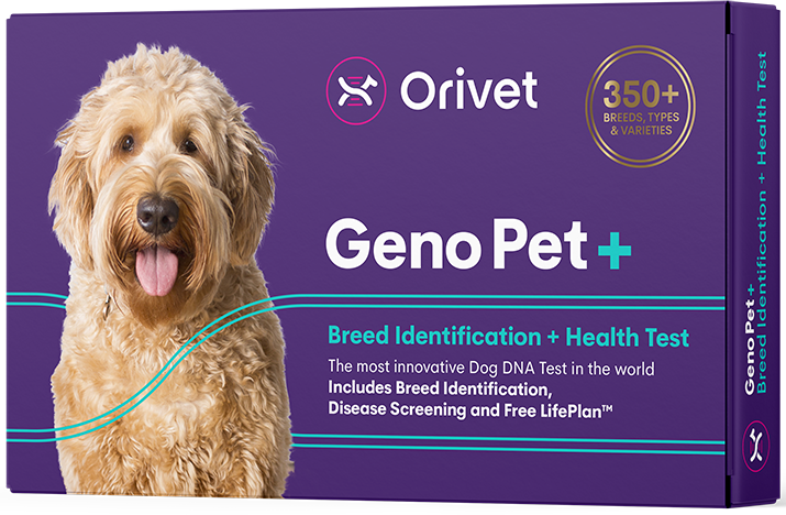 Geno Pet +  (Breed + Health Kit)